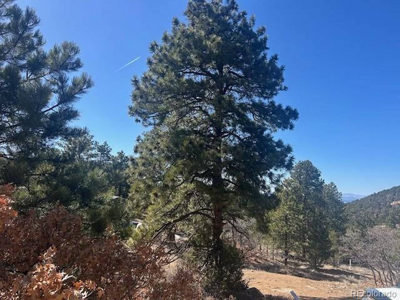 98 Discovery, Westcliffe, CO 81252