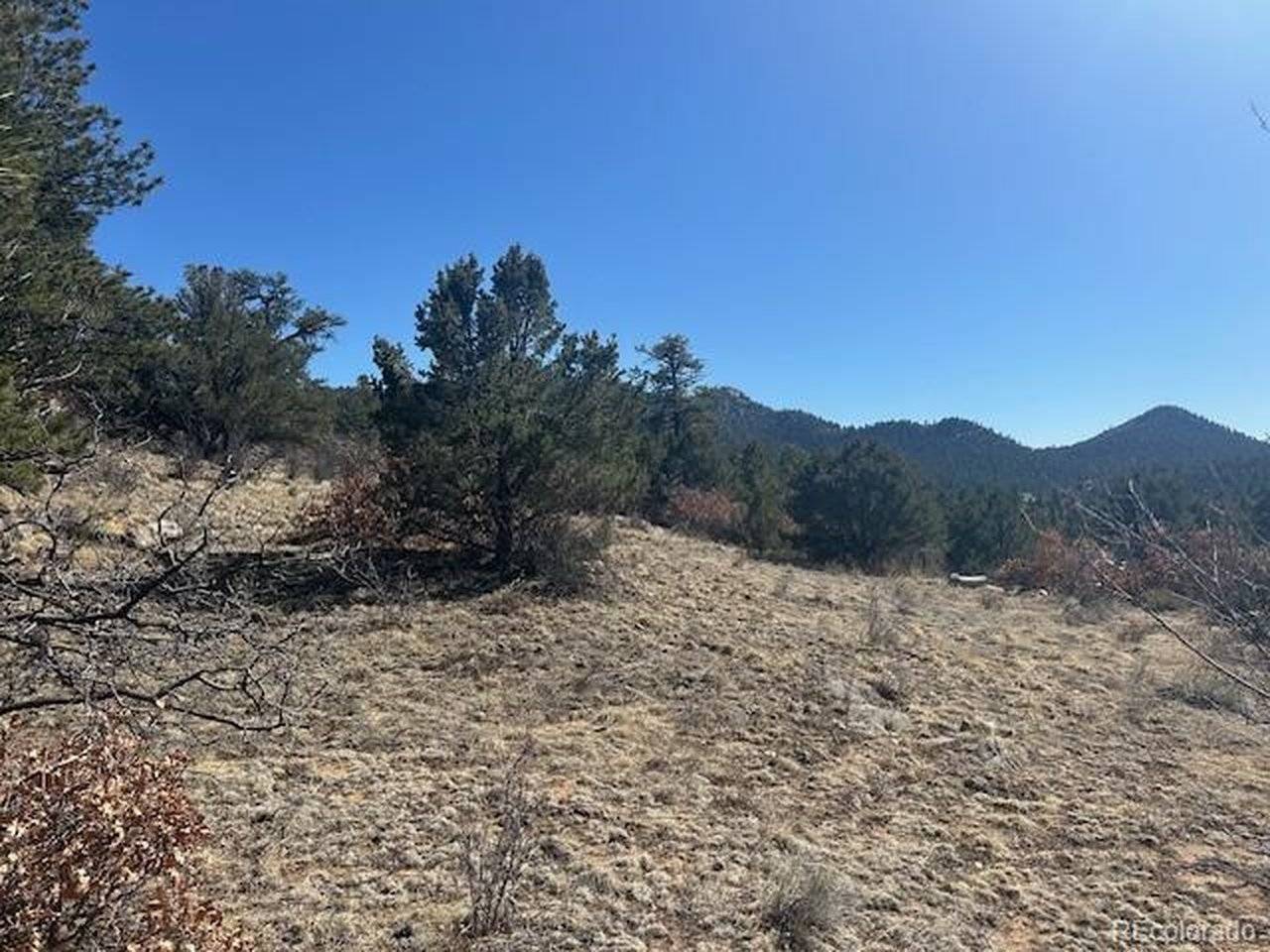 98 Discovery, Westcliffe, CO 81252