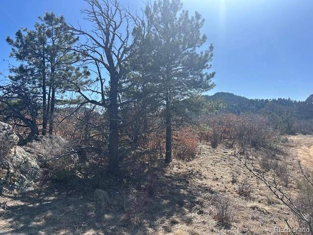 98 Discovery, Westcliffe, CO 81252