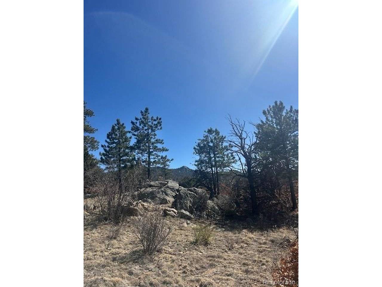 98 Discovery, Westcliffe, CO 81252