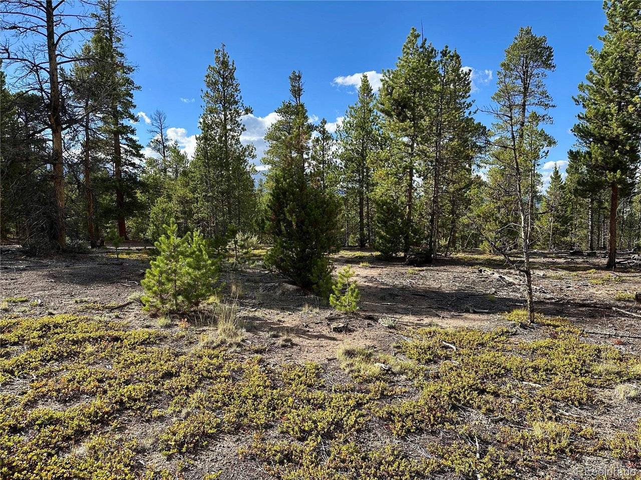 143 Fir, Leadville, CO 80461