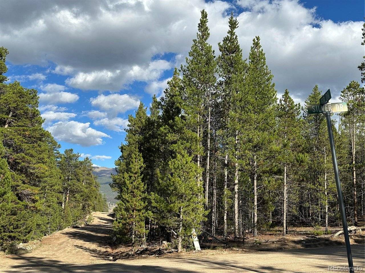143 Fir, Leadville, CO 80461