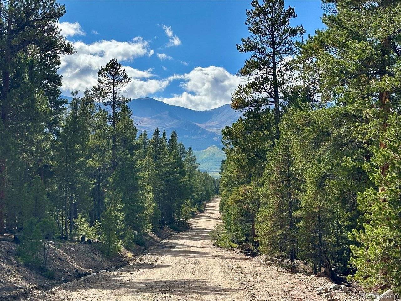 143 Fir, Leadville, CO 80461
