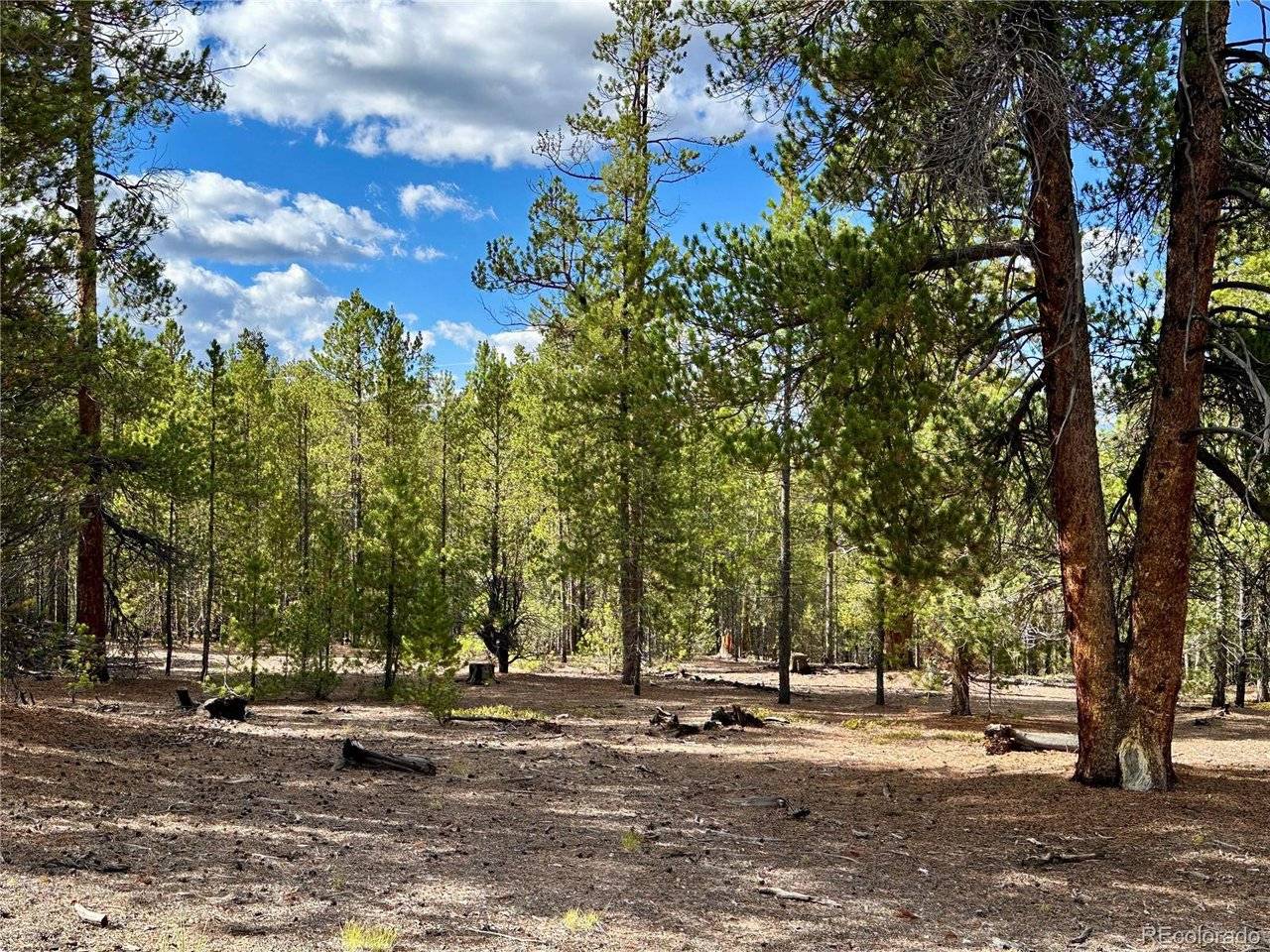 143 Fir, Leadville, CO 80461