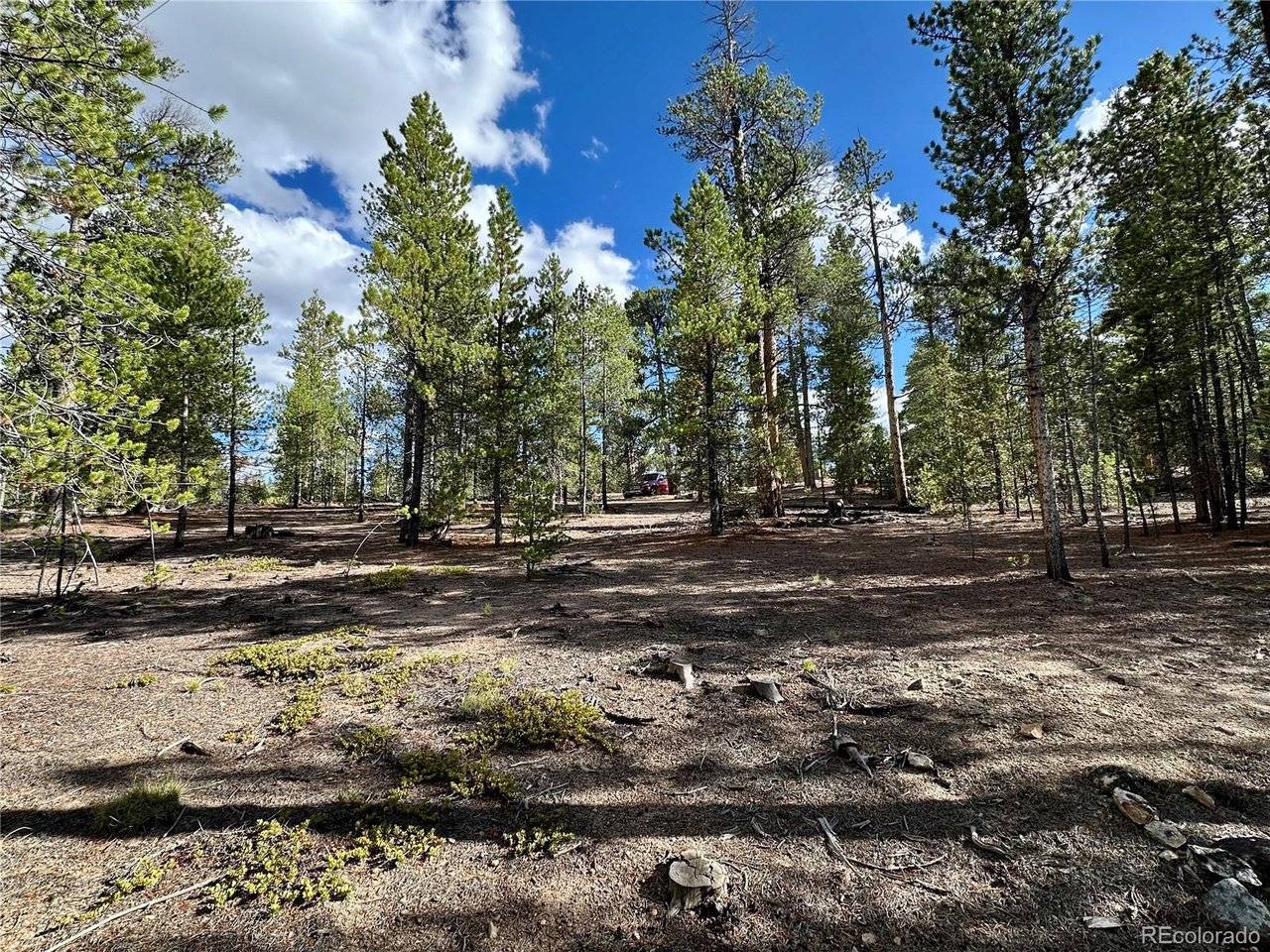 143 Fir, Leadville, CO 80461