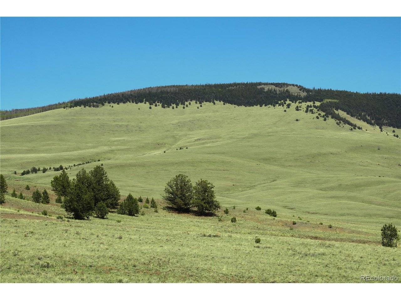 State, Guffey, CO 80820