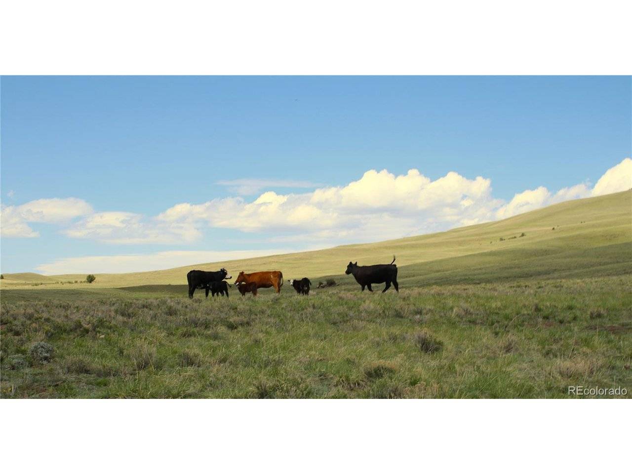 State, Guffey, CO 80820