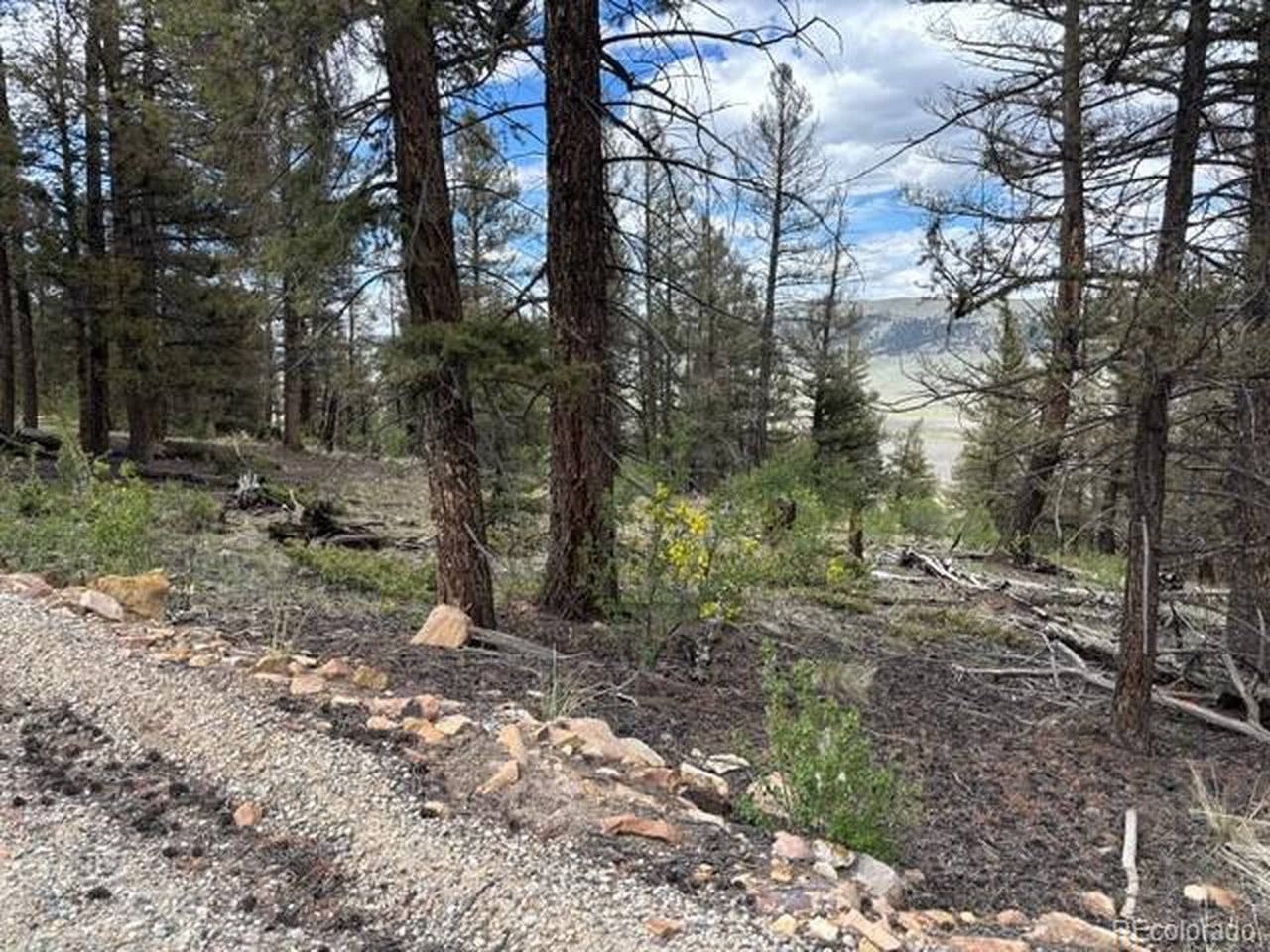 Middle Fork Vista, Fairplay, CO 80440