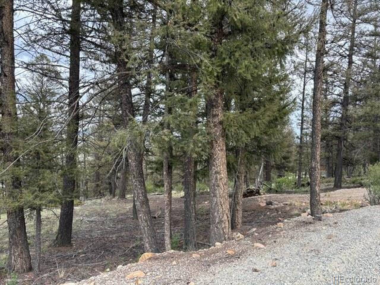 Middle Fork Vista, Fairplay, CO 80440