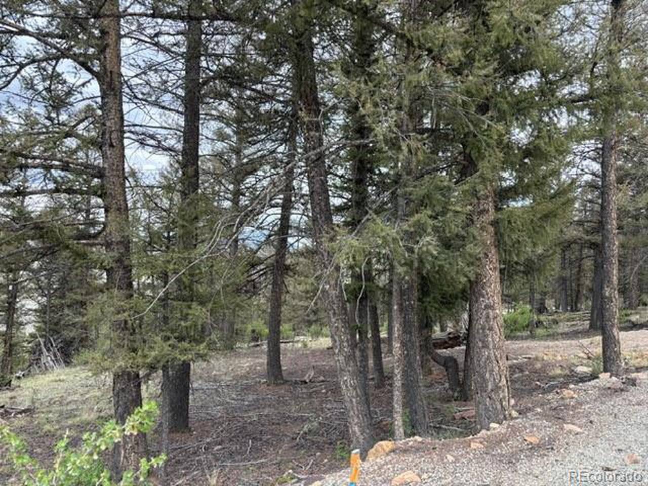 Middle Fork Vista, Fairplay, CO 80440