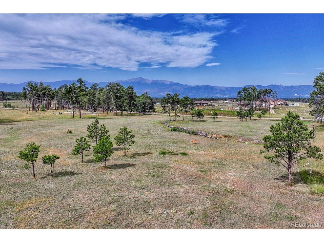 4 Forest Heights, Colorado Springs, CO 80908