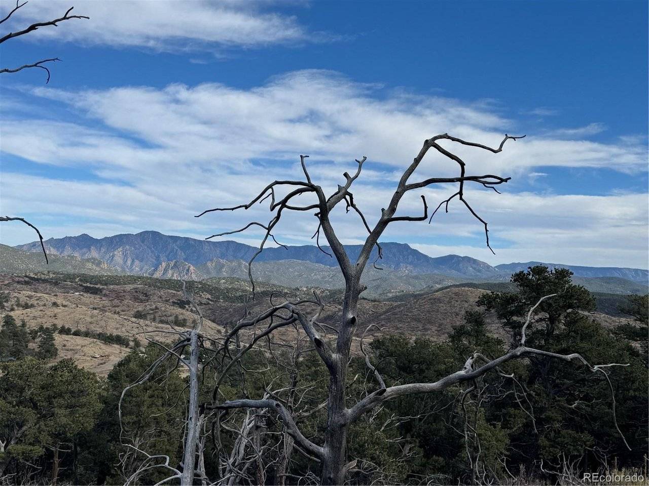2926 E, Cotopaxi, CO 81223