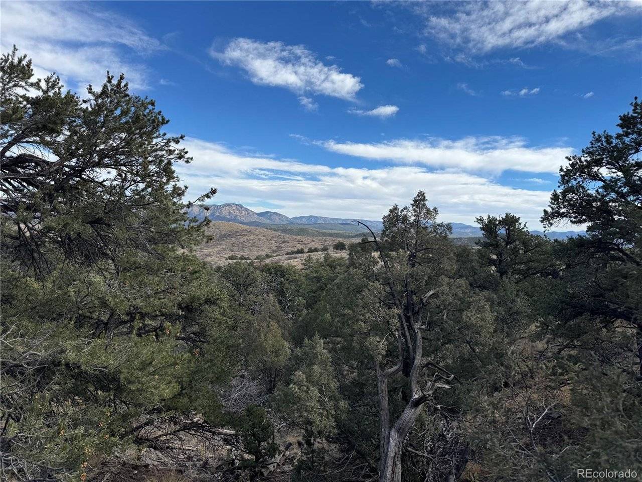 2926 E, Cotopaxi, CO 81223