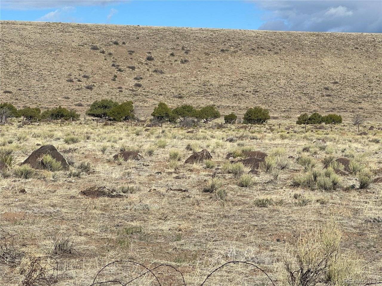 TBD Lot 2, La Jara, CO 81140