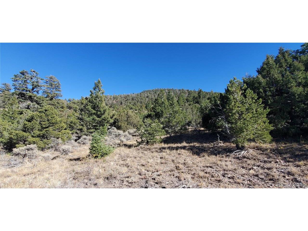 Address not disclosed, San Luis, CO 81152