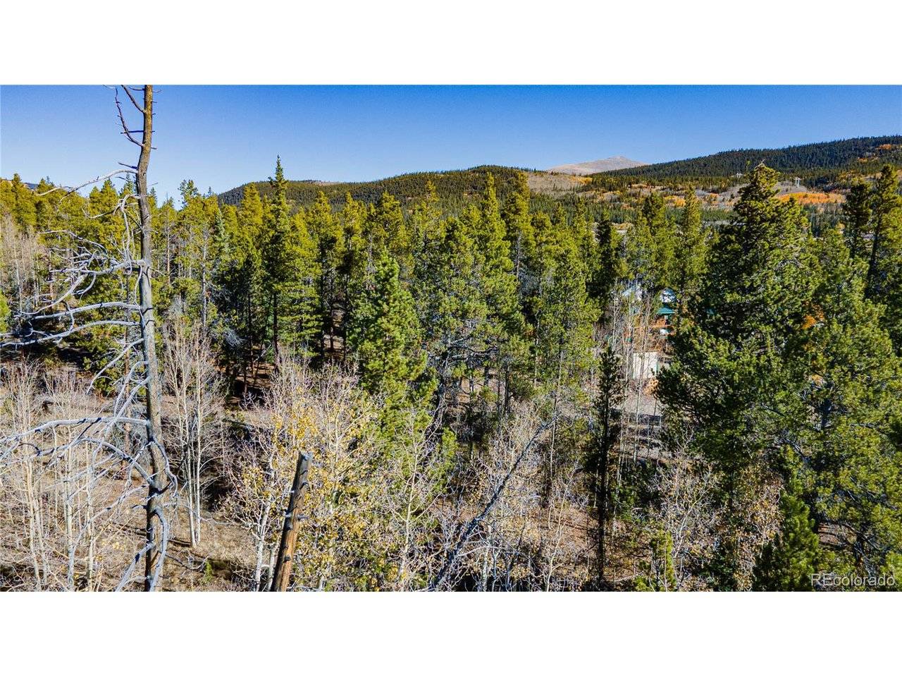 235 Willow, Fairplay, CO 80440