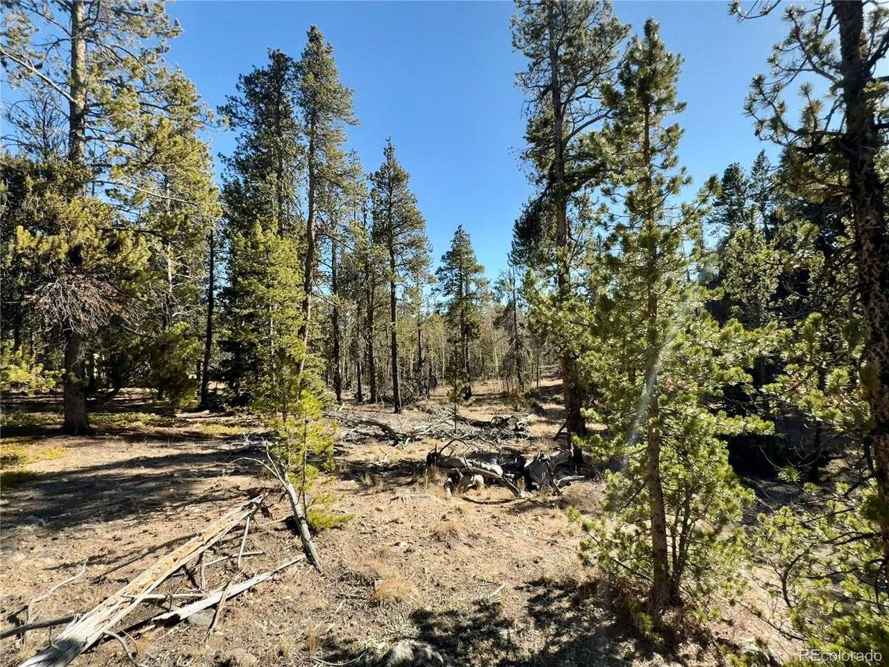 235 Willow, Fairplay, CO 80440