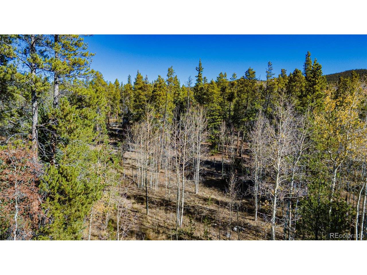 235 Willow, Fairplay, CO 80440