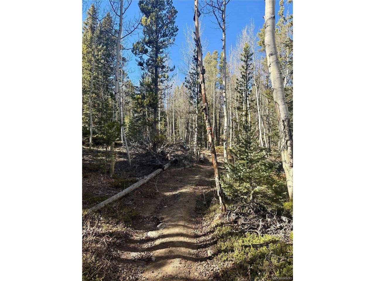235 Willow, Fairplay, CO 80440