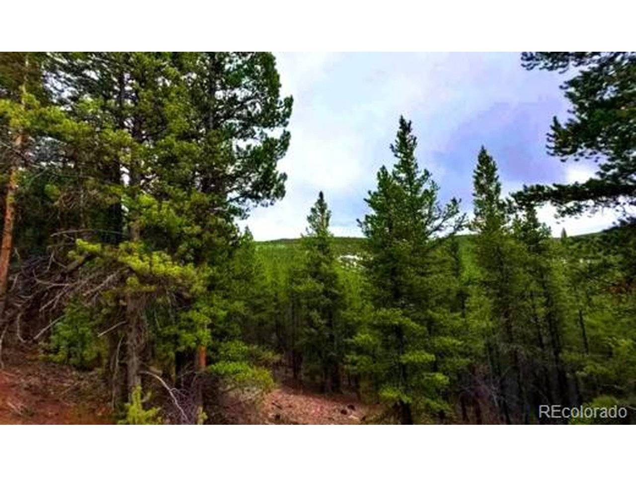 123 Boss Lode Claim, Gunnison, CO 81231