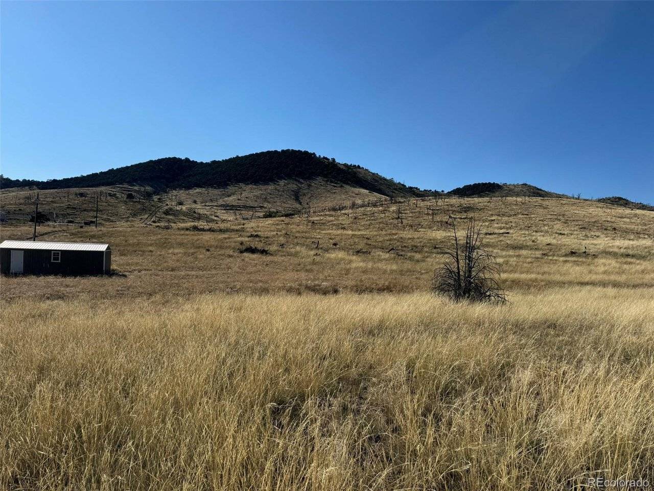 0 Copper Gulch, Cotopaxi, CO 81223
