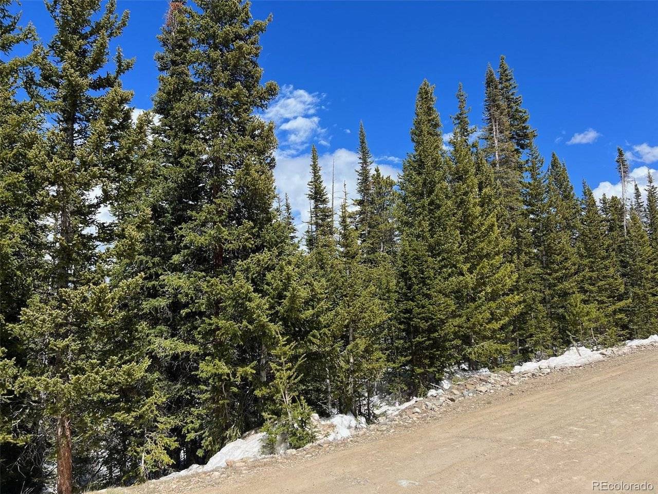 134 El Lobo, Fairplay, CO 80440