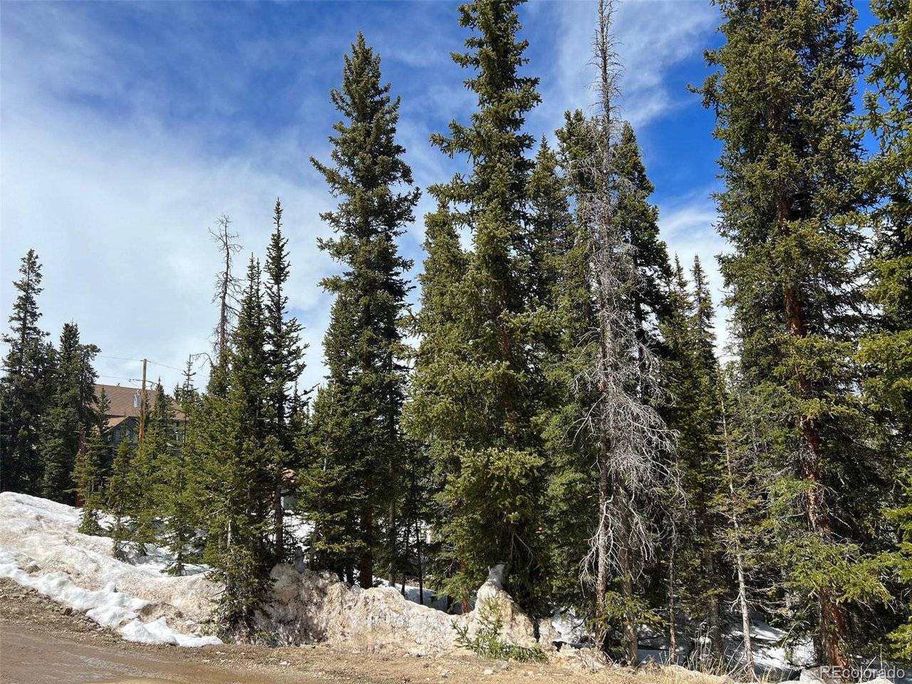 134 El Lobo, Fairplay, CO 80440