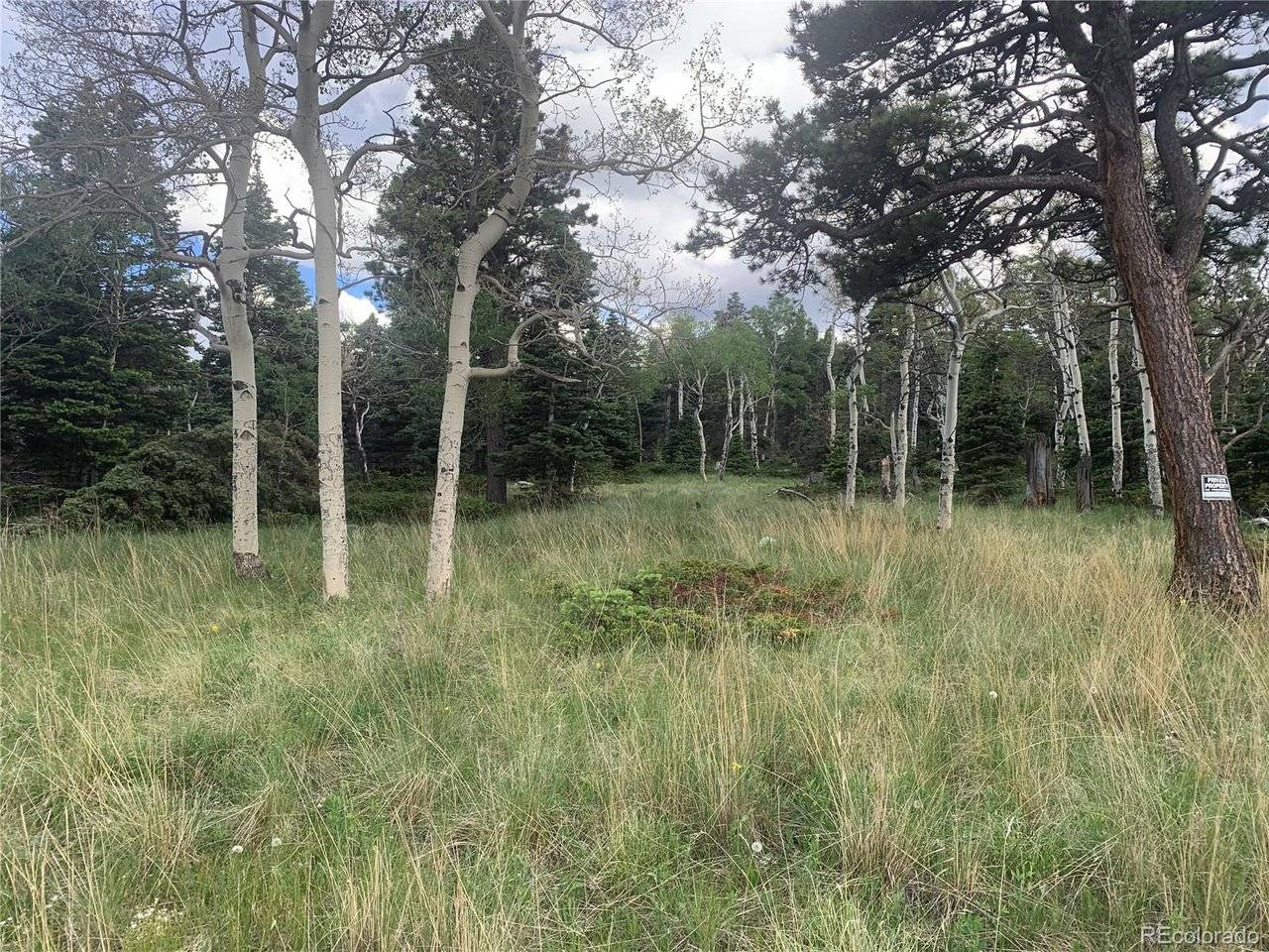 2941 FORBES PARK, Fort Garland, CO 81133