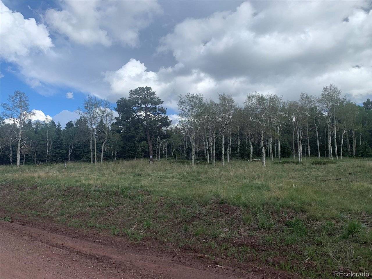 2941 FORBES PARK, Fort Garland, CO 81133