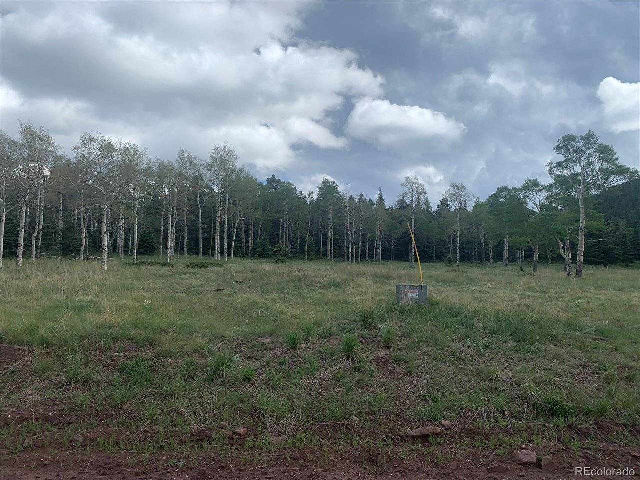 2941 FORBES PARK, Fort Garland, CO 81133