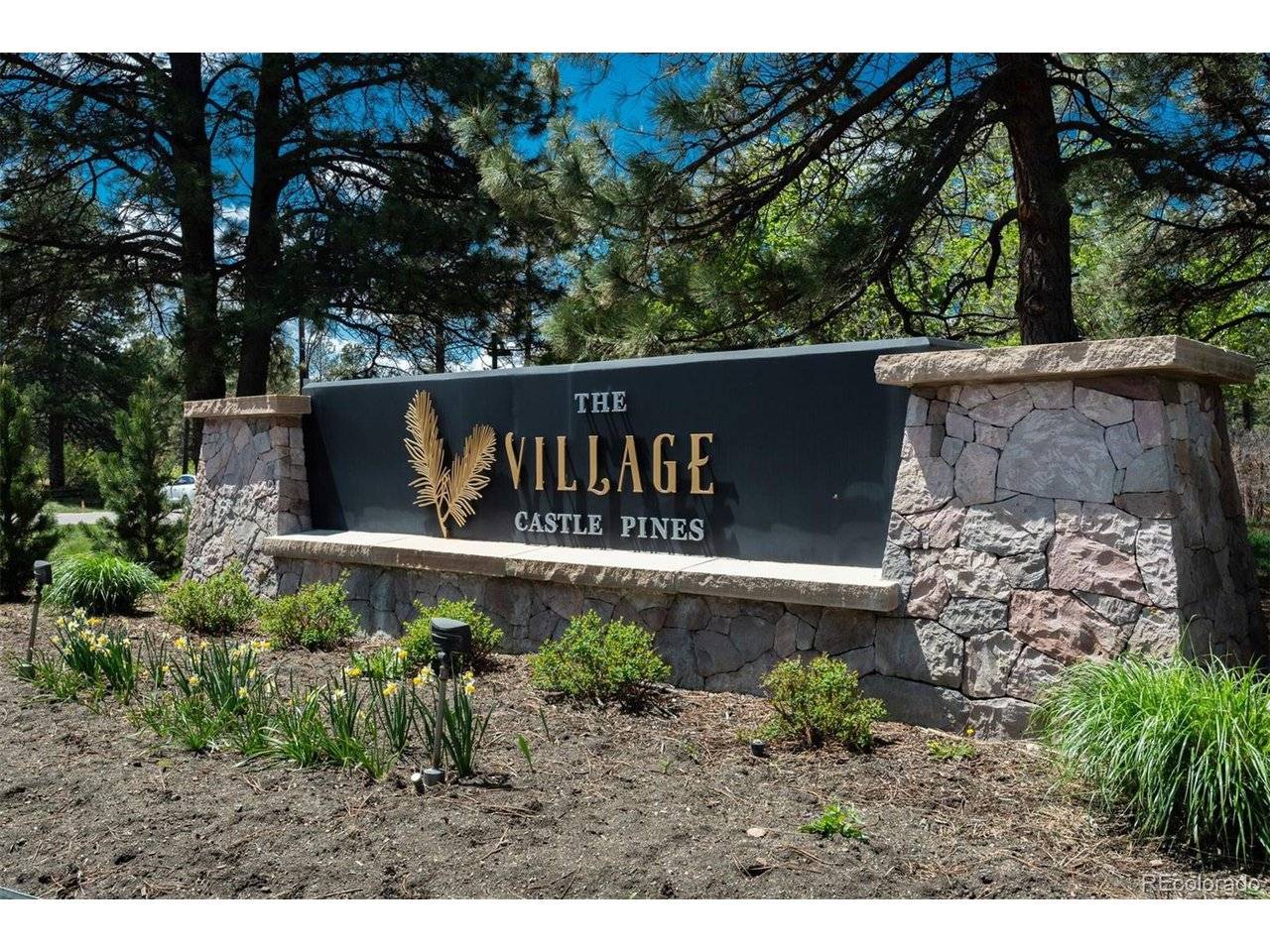 910 Equinox, Castle Rock, CO 80108