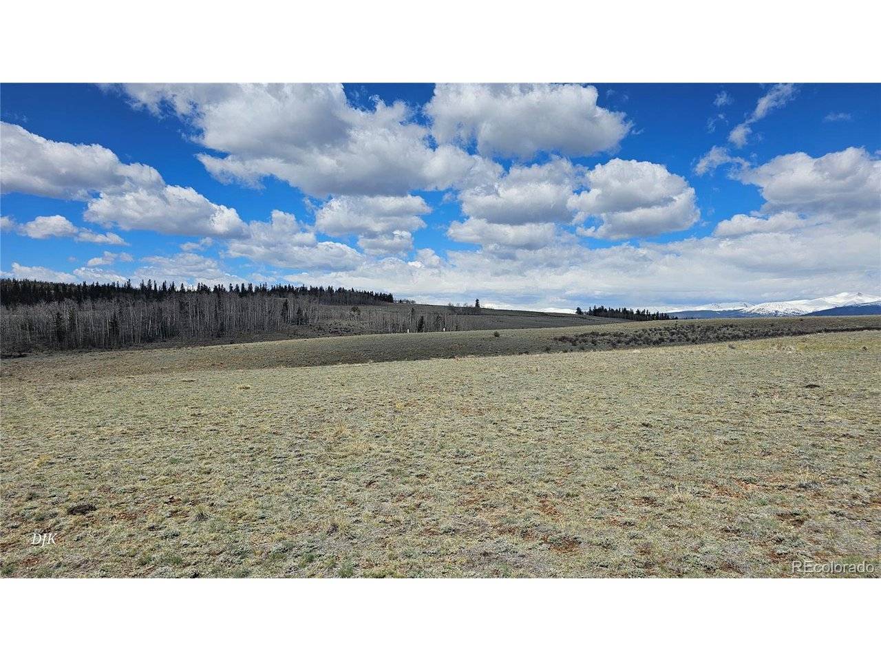 329 Albino, Jefferson, CO 80456