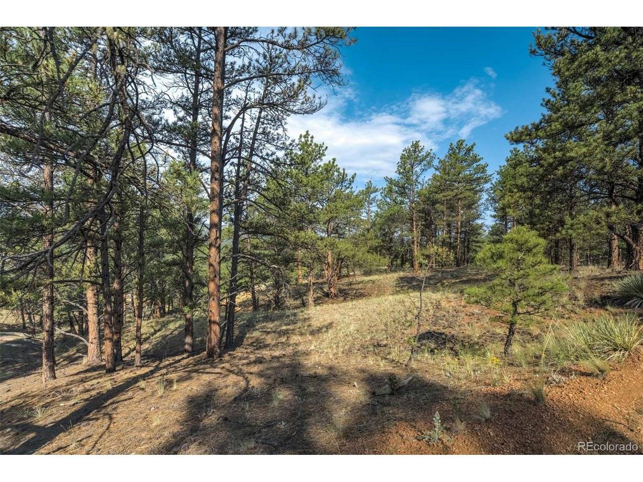 39 Reed, Florissant, CO 80816