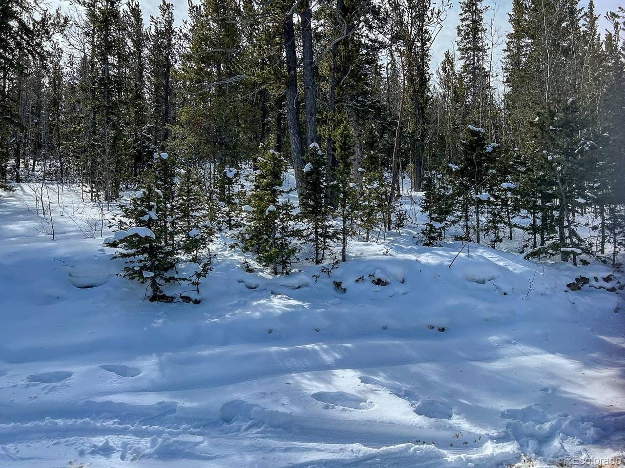 R0029767, Cripple Creek, CO 80813