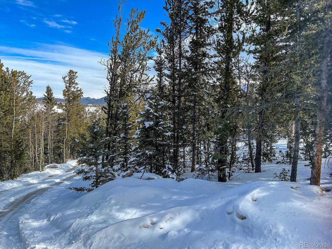 R0029767, Cripple Creek, CO 80813