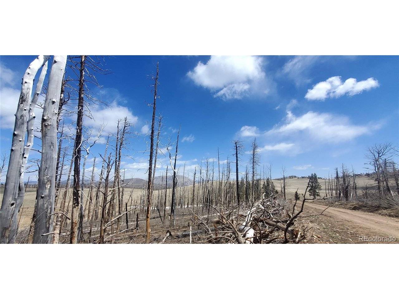 2398 Petito, Fort Garland, CO 81133