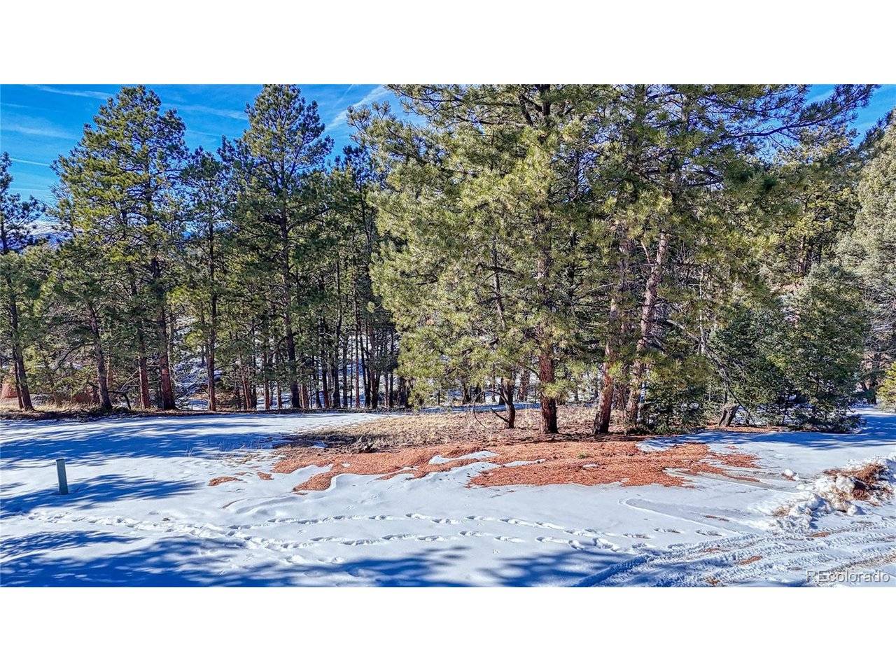 79 Huntsman, Florissant, CO 80816