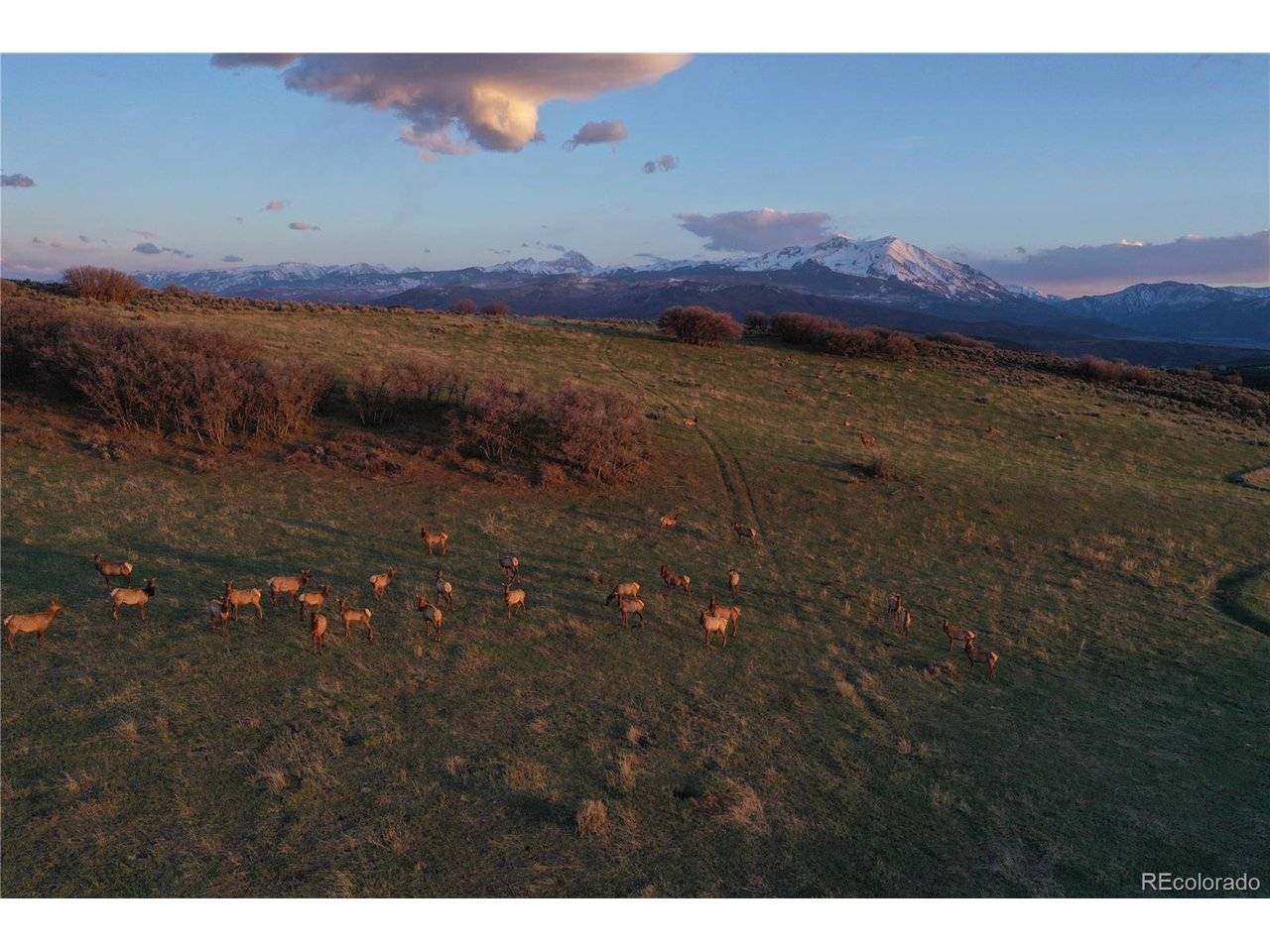 0 County Road 100, Carbondale, CO 81623