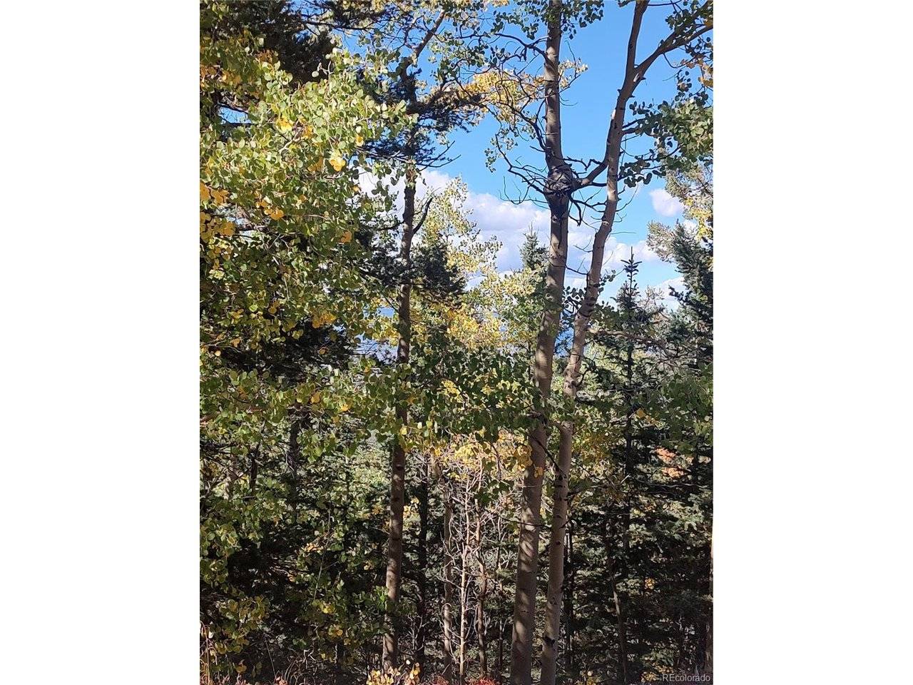 Lot 5374, Fort Garland, CO 81133