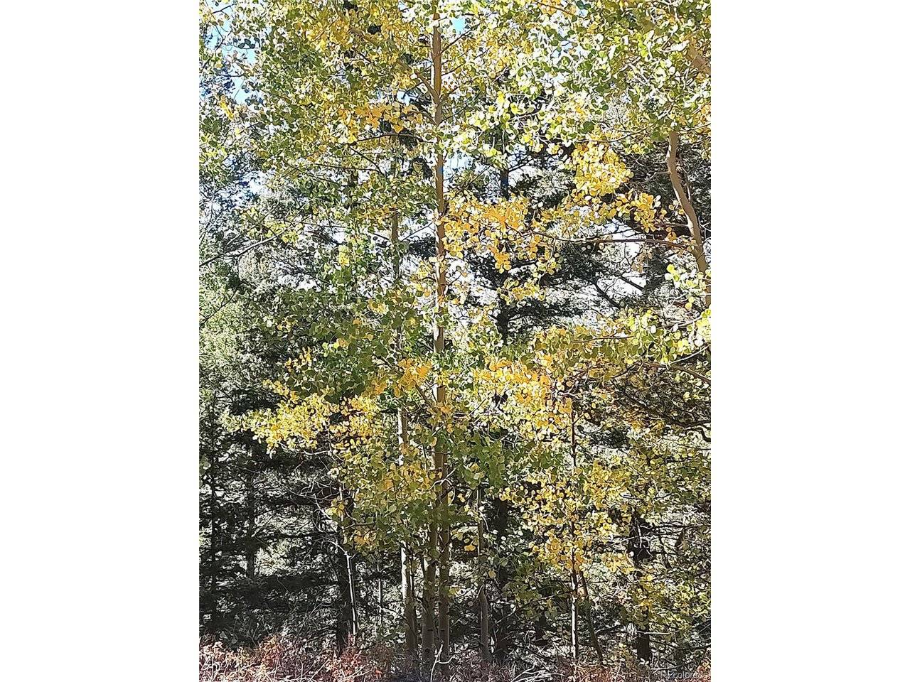 Lot 5374, Fort Garland, CO 81133