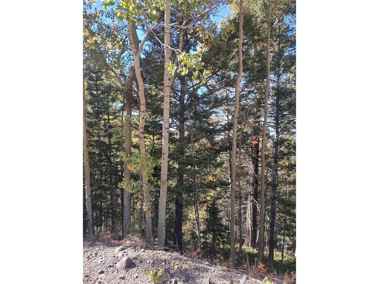 Lot 5374, Fort Garland, CO 81133