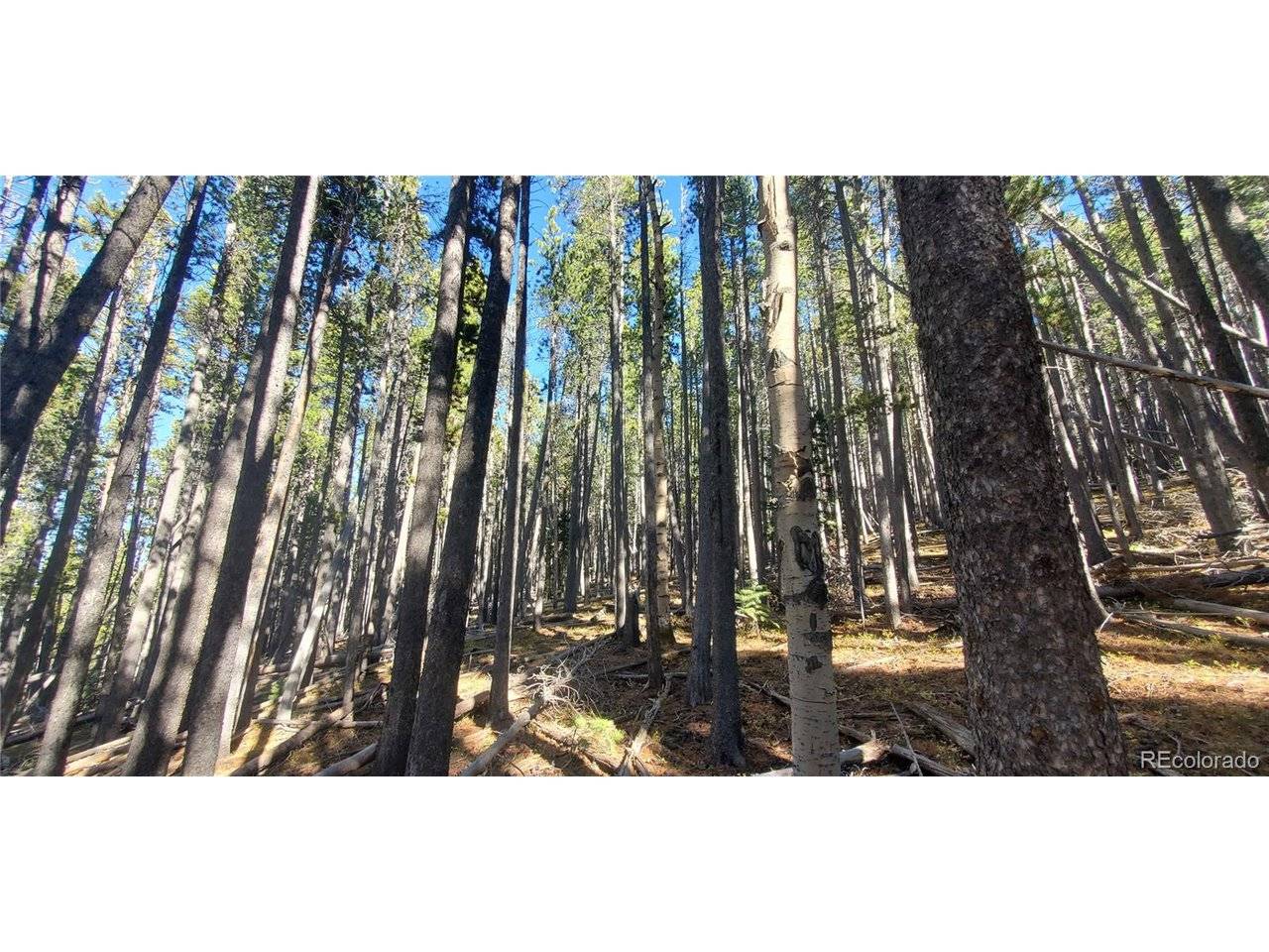 2682 Purnell, Fort Garland, CO 81133