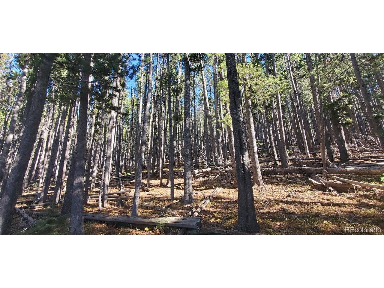 2682 Purnell, Fort Garland, CO 81133