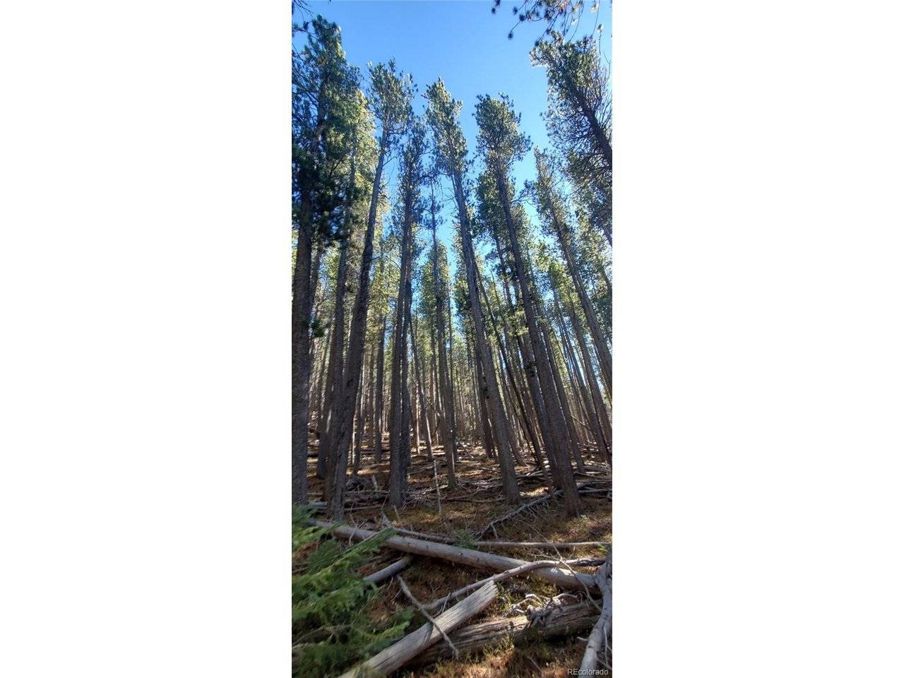 2682 Purnell, Fort Garland, CO 81133