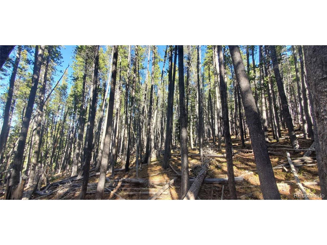 2682 Purnell, Fort Garland, CO 81133
