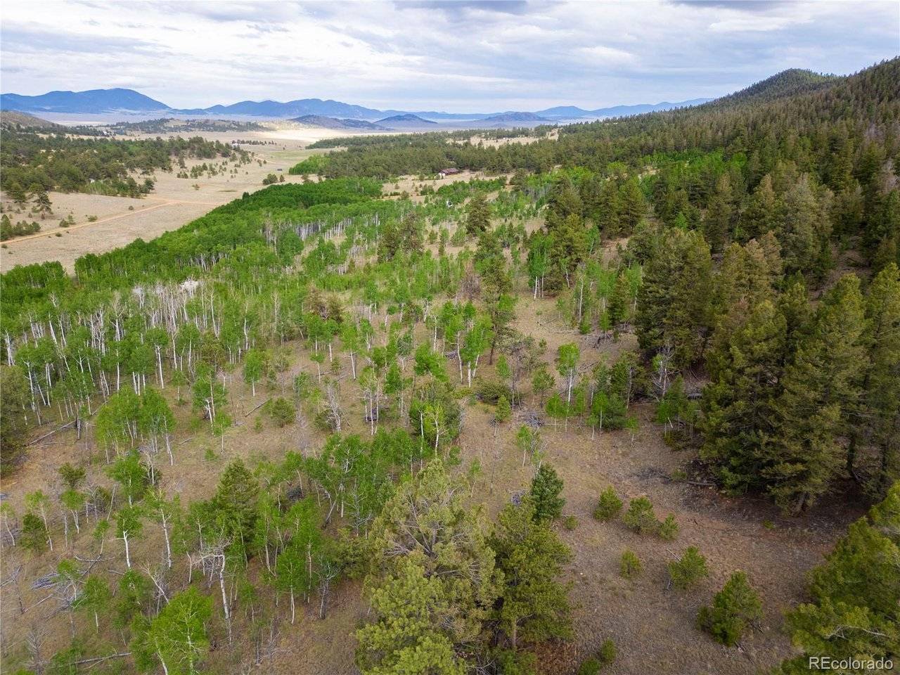 2396 Fitzsimmons, Hartsel, CO 80449