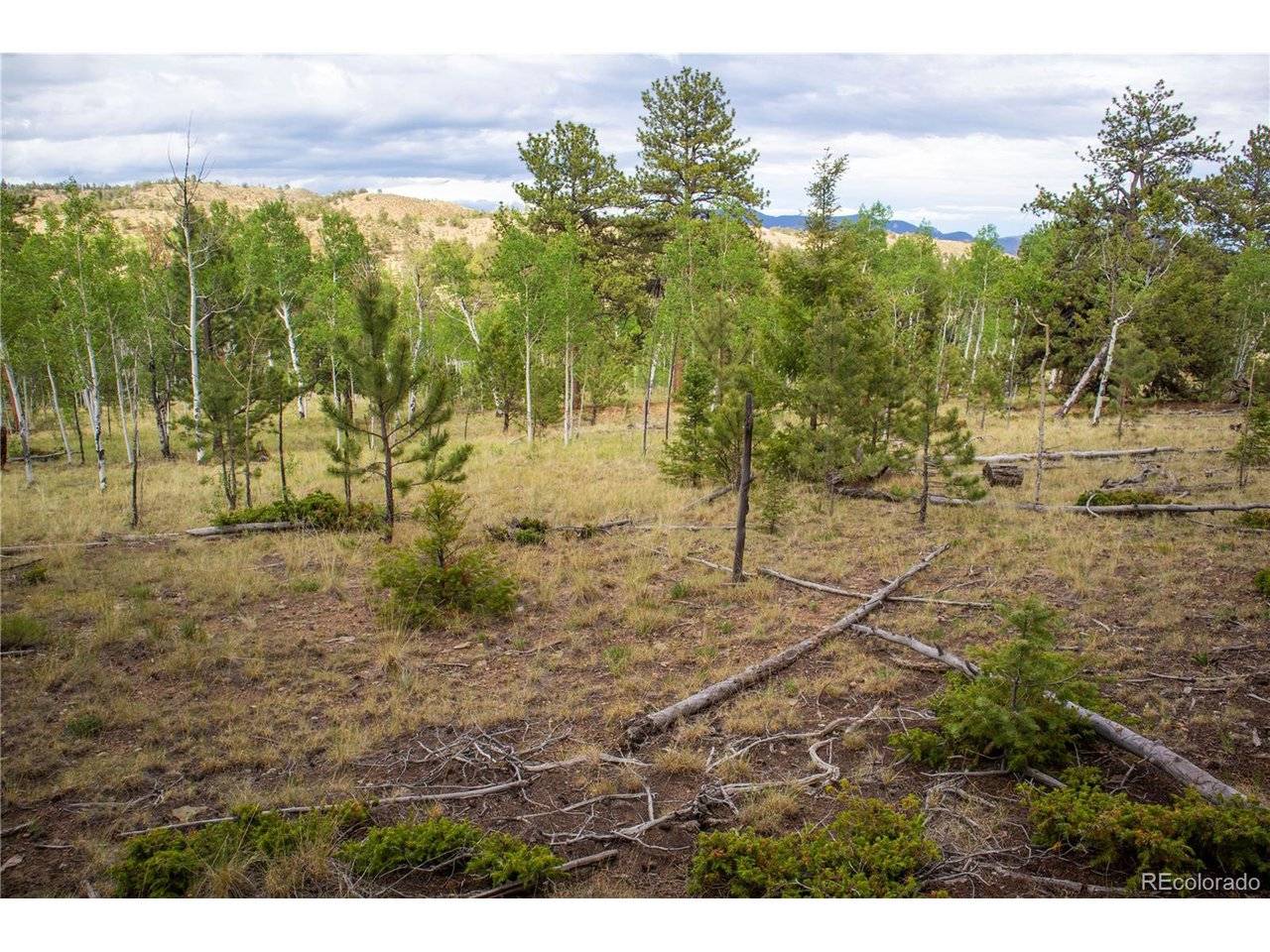 2396 Fitzsimmons, Hartsel, CO 80449