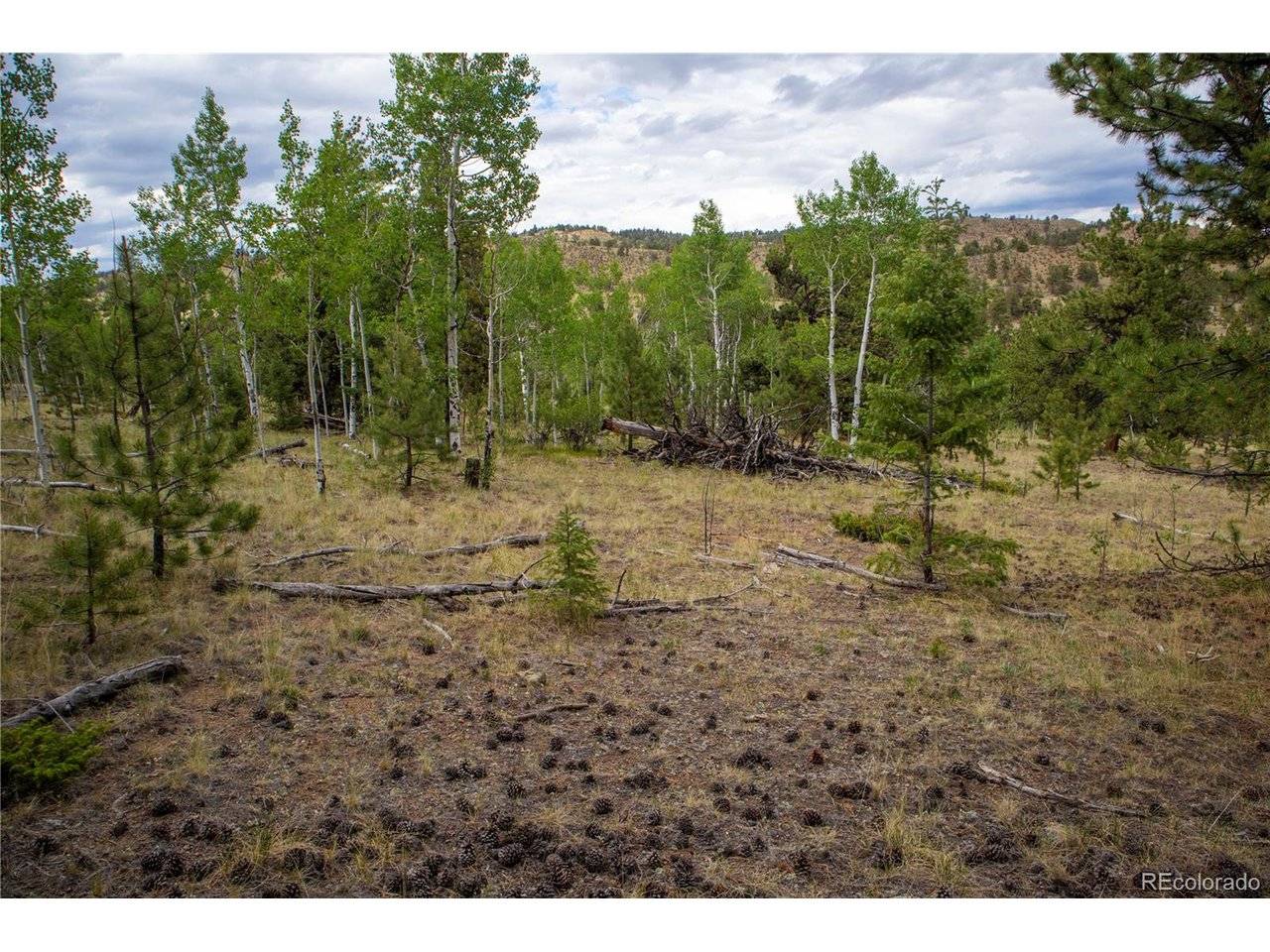 2396 Fitzsimmons, Hartsel, CO 80449