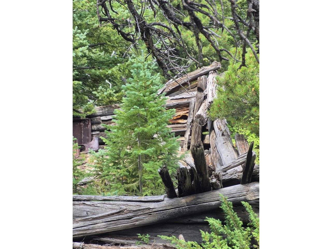 1900 County Road 128J, Nederland, CO 80466