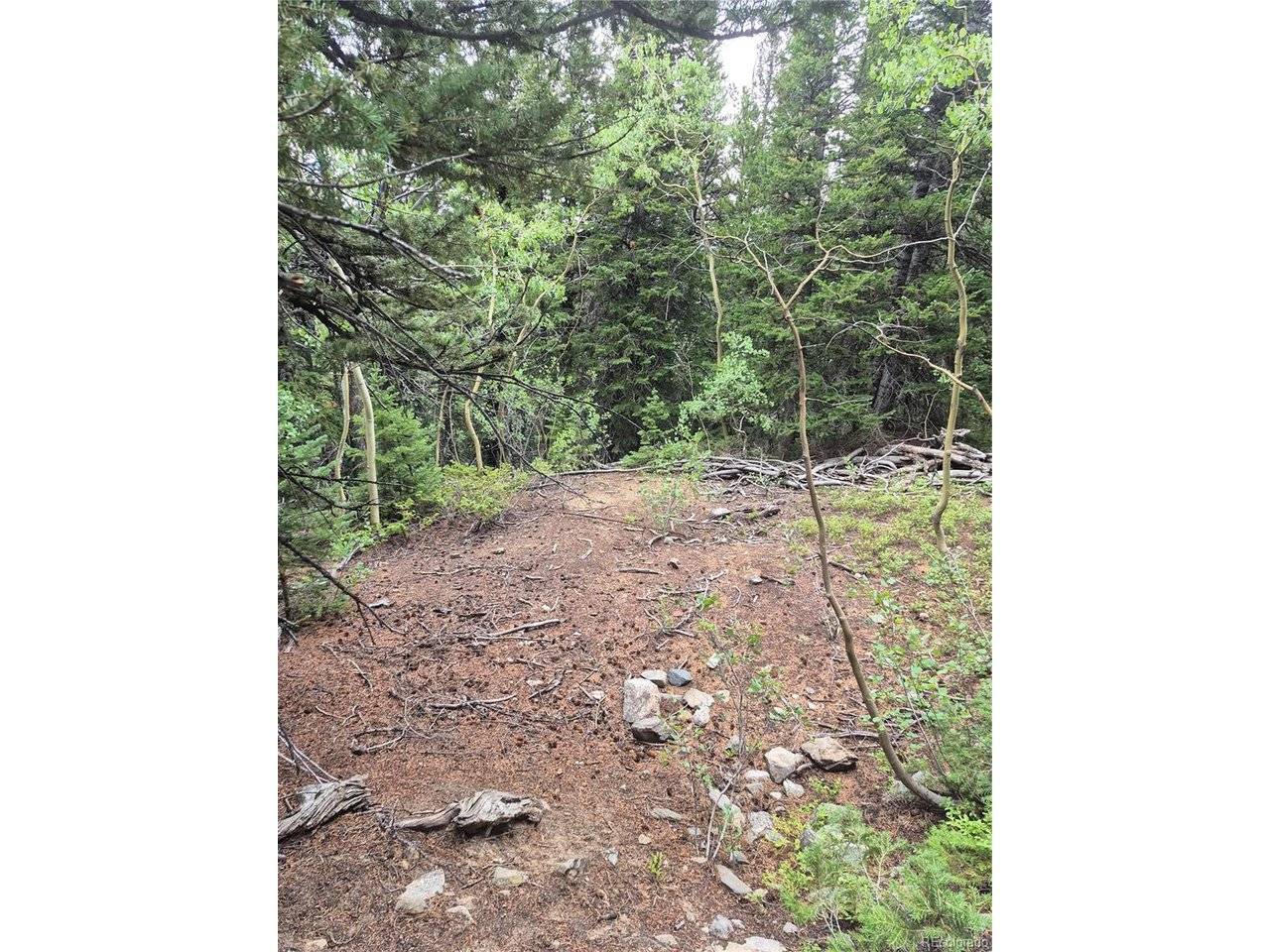 1900 County Road 128J, Nederland, CO 80466